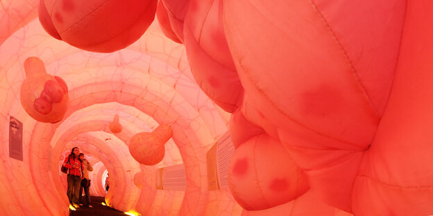 Ein Mensch läuft durch ein riesiges rosanes Modell eines Darms