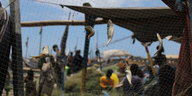 Tote Fische hängen in einem Fischernetz, im Hintergrund sieht man Menschen