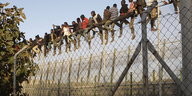Menschen sitzen auf einem hohen Zaun