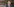 Emmanuel Macron im Porträt gestikuliert vor einem Mikrofon