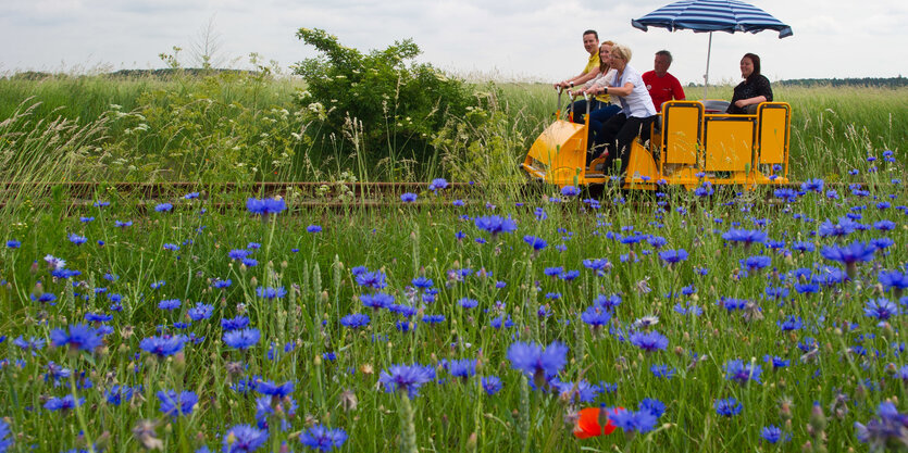 Menschen in einem Schienengefährt auf einer Wiese