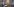 Die Ministerpräsidentin Polens, Beata Szydlo, spricht im ehemaligen Vernichtungslager Auschwitz