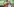 Drei Menschen machen ein Selfie vor der Kulisse des Grünen-Parteitags