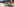 überfahrener toter Wolf auf einer Plastikplane neben dem Straßenrand. Polizeiautos stehen auf der Straße