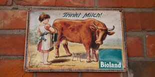 Milchkuh auf Schild