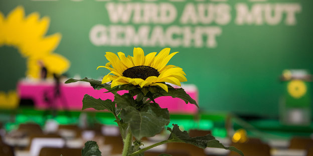 eine Sonnenblume vor der Bühnenkulisse des Grünen-Parteitags zu berlin