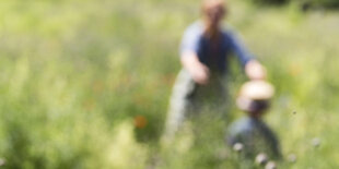 Eine Mutter spielt mit einem Kind auf der Wiese. Die Personen sind unscharf fotografiert