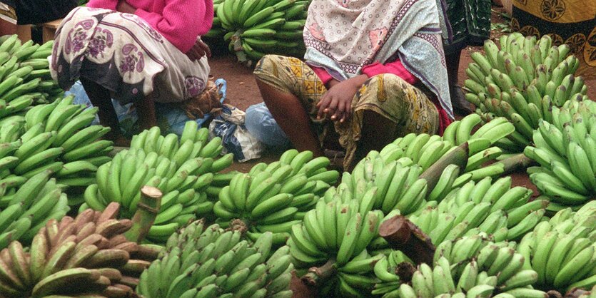 Einige Bananen, darüber sitzen zwei Frauen