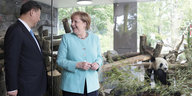 Angela Merkel und Xi Jinping vor dem Käfig der Pandas im Berliner Zoo