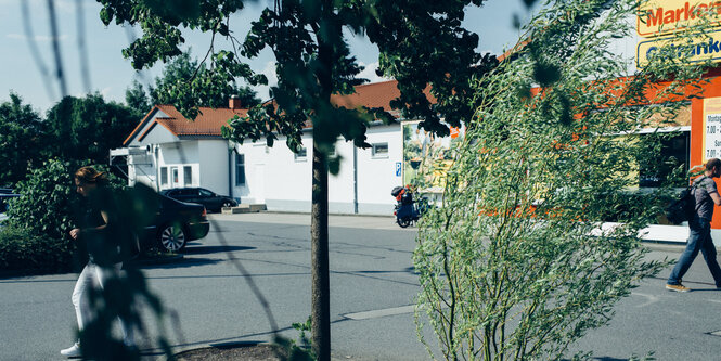 Ein kleiner Baum, im Hintergrund der Supermarkt