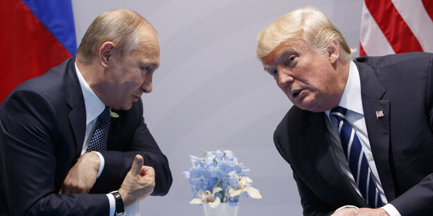Putin und Trump beugen sich zueinander