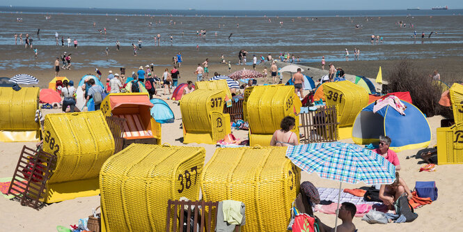 Strandkörbe vor Wattenmeer