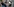Menschen mit Smartphones fotografieren ein Loch in einer Schaufensterscheibe