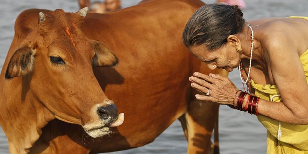 Ein Mensch verneigt sich mit aneinandergelegten Händen vor einer braunen Kuh