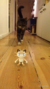 Eine Katze läuft einen Flur entlang, im Vordergrund ein virtuelles Pokémon Eine Katze läuft einen Flur entlang, im Vordergrund ein virtuelles Pokémon