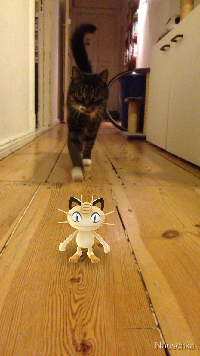 Eine Katze läuft einen Flur entlang, im Vordergrund ein virtuelles Pokémon