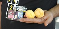 ein Mitarbeiter des Filmfestivalteams in Jerewan hält zwei Aprikosen in der Hand