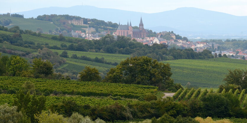 Eine Foto von einer weit entfernten Stadt, um sie herum viele grüne Wiesen und Weinberge