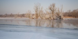 Ein Flussuferbereich im Winter