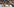 Mann in T-Shirt am Mikrofon, hebt seine Hand, hinter ihm andere Menschen
