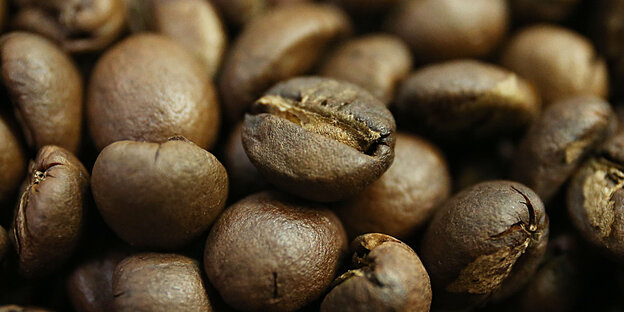 Closeup auf viele Kaffeebohnen