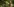 Ein Mann und eine Frau nackt im Wald, von Büschen verdeckt, der Mann zeigt einen Hitlergruß