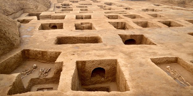 Blick auf eine Ausgrabungsstätte mit rechteckigen Grabungen, im Vordergrund ein Skelett