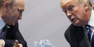 Trump und Putin neigen über einem blauen Blumenbouquet einander die Köpfe zu