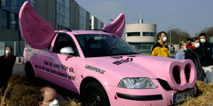 ein rosafarbenes Auto mit Schweineschnauze und -ohren