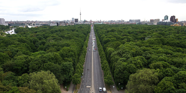 eine Straße, die durch einen Park führt, im Hintergrund der Berliner Fernsehturm