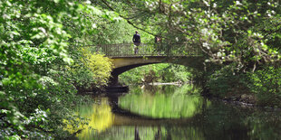 eine Brücke über einem Fluß in einem Wald