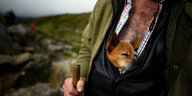 ein Mann mit behaarter Brust trägt einen kleinen Hund in seinem offenem Hemd