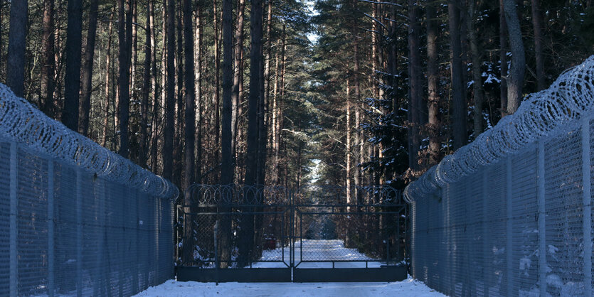 Stacheldrahtzaun säumt links und rechts einen verschneiten Weg in einem düsteren Wald