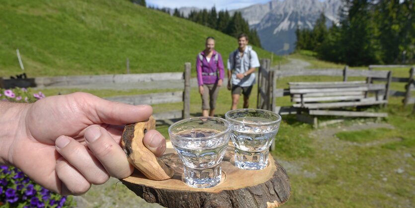 Eine Hand hält ein Holztablett mit zwei Gläsern vor dem unscharfen Hintergrund einer Almlandschaft