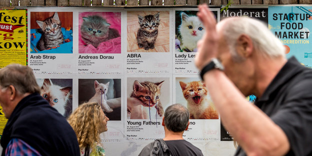 Menschen stehen vor den Plakaten des Festivals Pop-Kultur, auf dem Katzen zu sehen sind