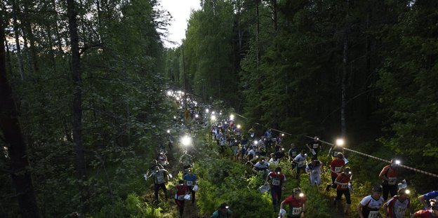 Viele Menschen laufen im Wald