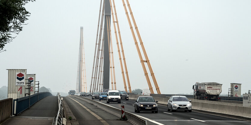 Kühe stehen auf einer Wiese. Dahinter ist eine Brücke