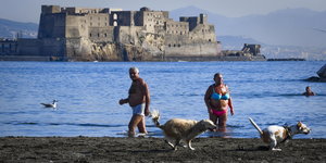 Zwei Menschen und zwei Hunde am Wasser, dahinter eine Stadt
