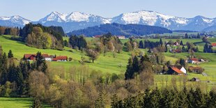 Wiesen mit Bauernhäuser, im Hintergrund Berge