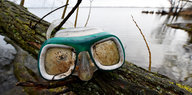 Eine grüne Taucherbrille liegt auf einem Baumstamm
