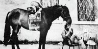 Schwarz-Weiß-Foto eines dunklen Pferdes und eines Mannes, der sich eine Zigarette anzündet