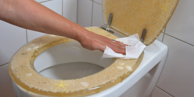 Ein Hand mit Putztuch wischt über die Toilettenbrille