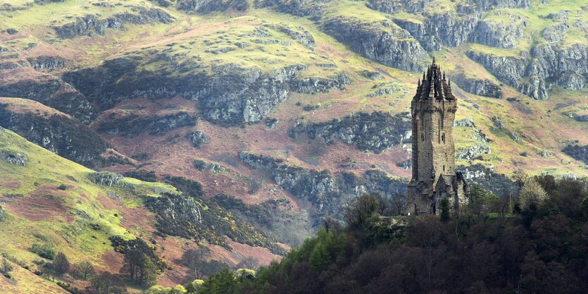 Ein Turm auf einem bewaldeten Hügel