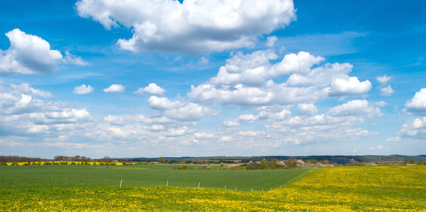 Ein weitläufiges Feld, dahinter Himmel