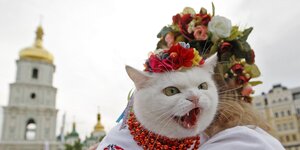 Eine Katze mit Blumenschmuck auf dem Kopf, sitzt fauchend auf dem Arm einer Frau, die ebenfalls Blumenschmuck auf dem Kopf trägt