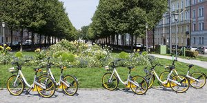 Fahrräder abgestellt in der Mitte einer Allee in München