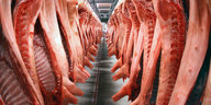 In einem Schlachthof hängen Schweinehälften von der Decke