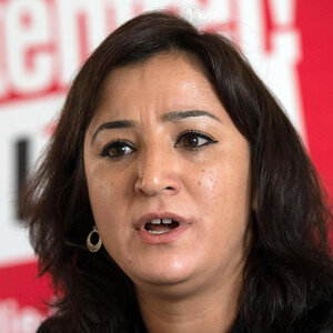 Gökay Akbulut (Linke) Gökay Akbulut (Linke)