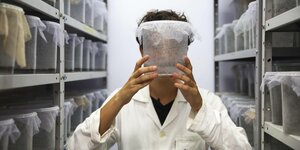 Ein Mann in einem weißen Laborkittel hält ein Gefäß mit Mücken hoch