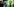 Wahlparty der Grünen: Eine Frau fotografiert eine andere Frau, die vor der Sonnenblume der Grünen in die Luft springt.